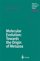 Werne E G Müller, Werner E G Müller, Werner E. G. Müller, Werner E.G. Müller - Molecular Evolution: Towards the Origin of Metazoa