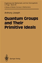 Anthony Joseph - Quantum Groups and Their Primitive Ideals