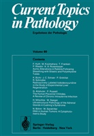 Grundmann, E Grundmann, E. Grundmann, W H Kirsten, W. H. Kirsten, E. Grundmann... - Current Topics in Pathology / Ergebnisse der Pathologie