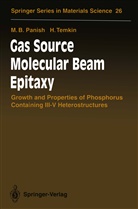 Morton Panish, Morton B Panish, Morton B. Panish, Henryk Temkin - Gas Source Molecular Beam Epitaxy