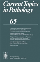Grundmann, E Grundmann, E. Grundmann, W H Kirsten, W. H. Kirsten, E. Grundmann... - Current Topics in Pathology