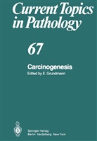 Grundmann, E Grundmann, E. Grundmann - Carcinogenesis