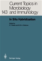 B A Oldstone, B A Oldstone, Ashley Haase, Ashley T. Haase, Michael Oldstone, Michael B. A. Oldstone... - In Situ Hybridization