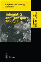 David Banister, Pete Nijkamp, Peter Nijkamp, Gerar Pepping, Gerard Pepping - Telematics and Transport Behaviour