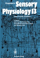 Eva Sykova - Ionic and Volume Changes in the Microenvironment of Nerve and Receptor Cells