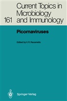 Vincen R Racaniello, Vincent R Racaniello, Vincent R. Racaniello - Picornaviruses