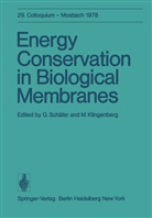 Klingenberg, Klingenberg, M. Klingenberg, Schäfer, G Schäfer, G. Schäfer - Energy Conservation in Biological Membranes