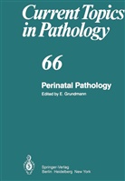 Grundmann, E Grundmann, E. Grundmann - Perinatal Pathology
