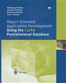 Michae Ihringer, Michael Ihringer, Wolfgan Kirsten, Wolfgang Kirsten, Bernha Röhrig, Bernhard Röhrig... - Object-Oriented Application Development Using the Caché Postrelational Database