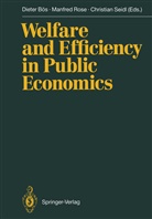 Dieter Bös, Manfre Rose, Manfred Rose, Christian Seidl - Welfare and Efficiency in Public Economics