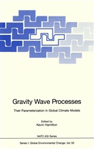 Kevi Hamilton, Kevin Hamilton - Gravity Wave Processes