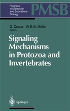 Csaba, G Csaba, G. Csaba, Gyorgy Csaba, E G Müller, E G Müller... - Signaling Mechanisms in Protozoa and Invertebrates