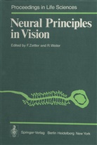 Weiler, Weiler, R. Weiler, Zettler, F Zettler, F. Zettler - Neural Principles in Vision
