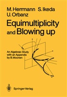Manfre Herrmann, Manfred Herrmann, Shi Ikeda, Shin Ikeda, Ulrich Orbanz - Equimultiplicity and Blowing Up