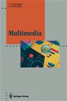 D Foley, D Foley, Jose L. Encarnacao, James D. Foley, Jos L Encarnacao, Jose L Encarnacao - Multimedia