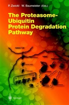 Baumeister, Baumeister, Wolfgang Baumeister, Pete Zwickl, Peter Zwickl - The Proteasome - Ubiquitin Protein Degradation Pathway