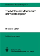 M. L. Applebury, M.L. Applebury, M. D. Bownds, M.D. Bownds, M. Chabre, M D Bownds et al... - The Molecular Mechanism of Photoreception