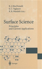 Edmun C Taglauer, Edmund C Taglauer, R. J. MacDonald, R.J. MacDonald, Edmund C. Taglauer, Klaus Wandelt - Surface Science