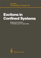 Andre D'Andrea, Andrea D'Andrea, Rodolfo Del Sole, Andrea Emancipato, Andrea Lapiccirella - Excitons in Confined Systems