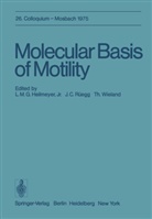 C Rüegg, J C Rüegg, L. M. G. Jr. Heilmeyer, L.M.G.Jr. Heilmeyer, Ludwig M. G. Heilmeyer, Johann Caspar Rüegg... - Molecular Basis of Motility