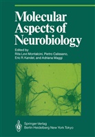 Pietr Calissano, Pietro Calissano, Eric R. Kandel, Rita Levi-Montalcini, Adriana Maggi, Eric R Kandel et al - Molecular Aspects of Neurobiology