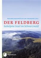 Regierungspräsidiu Freiburg, Regierungspräsidium Freiburg, Regierungspräsidium Freiburg - Der Feldberg