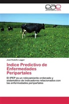 José Rodolfo Lagger - Indice Predictivo de Enfermedades Peripartales