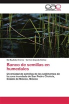 Itz Bautista Álvarez, Itzi Bautista Álvarez, Carmen Zepeda Gómez - Banco de semillas en humedales