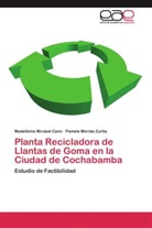 Pamela Merida Zurita, Madellein Mirabal Cano, Madelleine Mirabal Cano - Planta Recicladora de Llantas de Goma en la Ciudad de Cochabamba