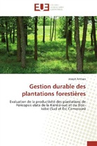 Joseph Ambara, Ambara-j - Gestion durable des plantations