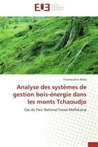 Chamsoudine Afoda, Afoda-C - Analyse des systemes de gestion