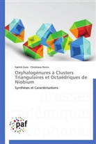 Fakhil Gulo, Fakhili Gulo, Christiane Perrin - Oxyhalogenures a clusters