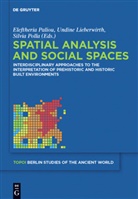 Undin Lieberwirth, Undine Lieberwirth, Eleftheria Paliou, Silvia Polla - Spatial analysis and social spaces