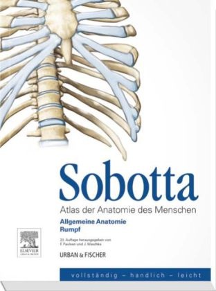 Friedric Paulsen, Friedrich Paulsen, Johannes Sobotta, Jens Waschke, Paulse, … - Atlas der Anatomie des Menschen: Allgemeine Anatomie, Rumpf
