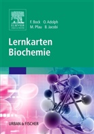 Olive Adolph, Oliver Adolph, F. Bock, Fabia Bock, Fabian Bock, Björn Jacobi... - Lernkarten Biochemie