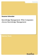 Susanne Schneider - Knowledge Management - Why Companies choose Knowledge Management