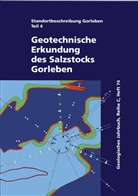 Volkmar Bräuer, Ralf Eickemeier, Dieter Eisenburger, Christoph Grissemann, Jürgen Hesser, Stefan Heusermann... - Standortbeschreibung Gorleben - Tl.4: Standortbeschreibung Gorleben Teil 4