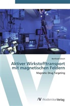 Bernhard Gleich - Aktiver Wirkstofftransport mit magnetischen Feldern