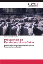 Jesús Zepeda Cervantes - Prevalencia de Paratuberculosis Ovina