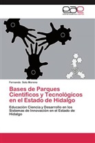 Fernando Soto Moreno - Bases de Parques Científicos y Tecnológicos en el Estado de Hidalgo