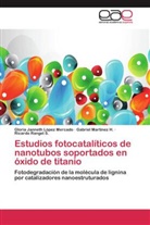 Gloria Jannet López Mercado, Gloria Janneth López Mercado, Gabrie Martínez H, Gabriel Martínez H, Gabriel Martínez H., Ricardo Rangel S. - Estudios fotocatalíticos de nanotubos soportados en óxido de titanio