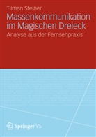 Tilman Steiner - Massenkommunikation im Magischen Dreieck