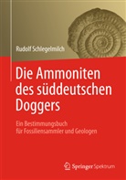 Rudolf Schlegelmilch - Die Ammoniten des süddeutschen Doggers