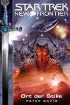 Peter David, Peter Allen David - Star Trek - New Frontier - Ort der Stille