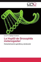 Lucía Perezgasga Ciscomani - La Hsp60 de Drosophila melanogaster