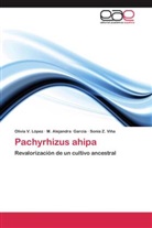 M Alejandr García, M Alejandra García, M. Alejandra García, Olivia López, Olivia V López, Olivia V. López... - Pachyrhizus ahipa