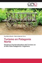 Ana Marí Boschi, Ana María Boschi, María Gabriela Torre - Turismo en Patagonia Norte