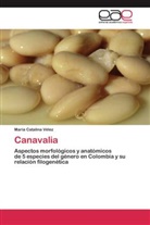 María Catalina Vélez - Canavalia