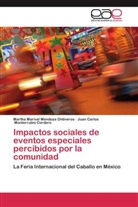 Martha Marive Mendoza Ontiveros, Martha Marivel Mendoza Ontiveros, Monterrubio Cord, Juan Carlos Monterrubio Cordero - Impactos sociales de eventos especiales percibidos por la comunidad