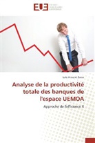Isaïe Armand Zoma, Zoma-i - Analyse de la productivite totale